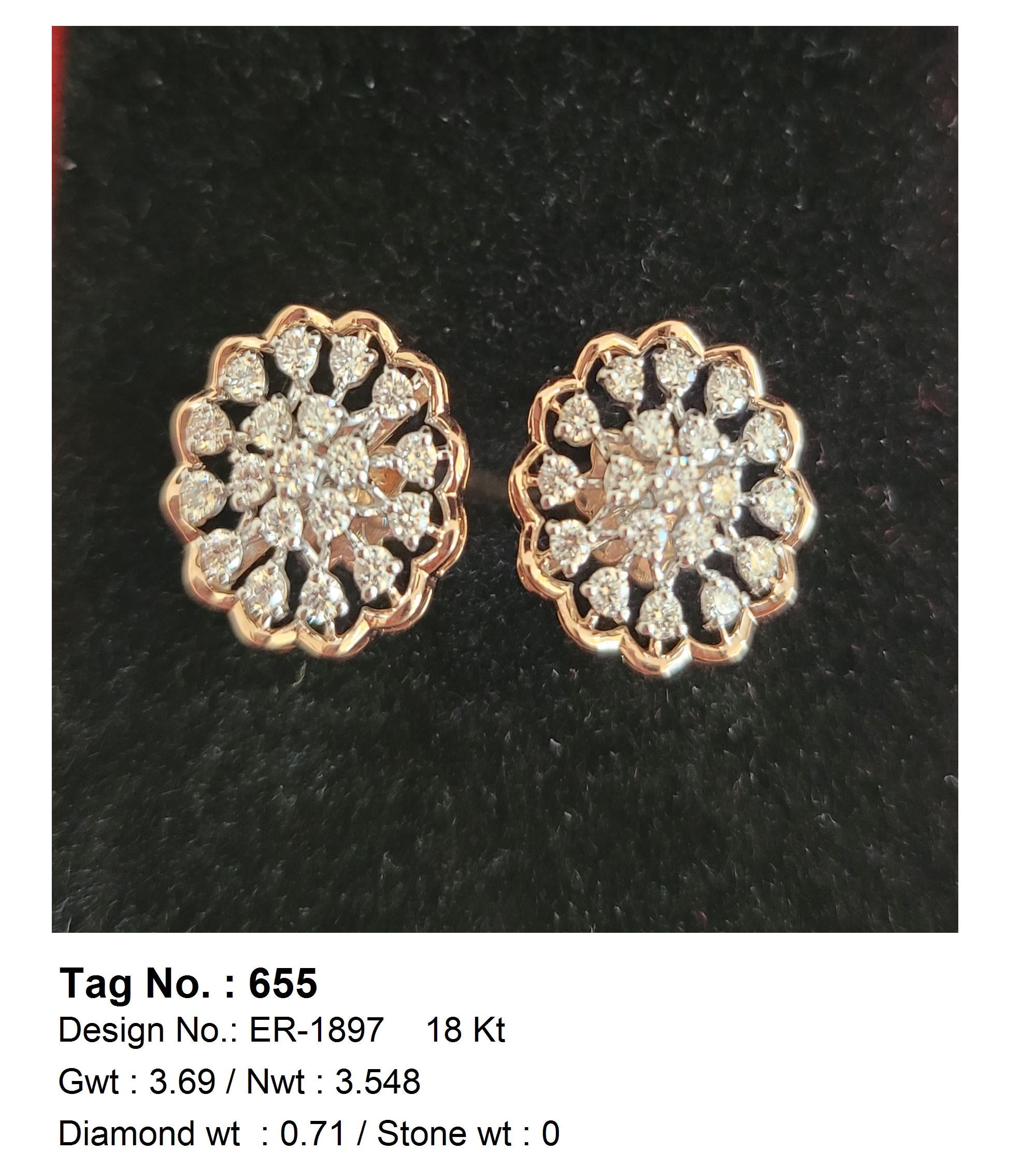 0.71 CTW 18 K Rose Gold (Other) Earrings